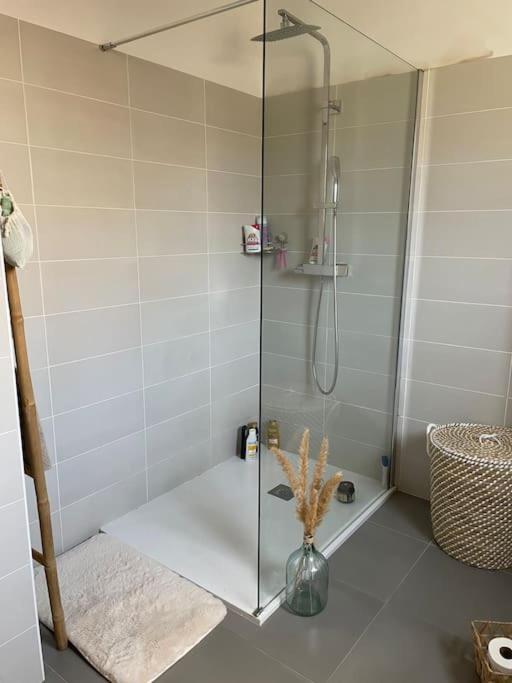 Appartement T2 Avec Jardin Lucciana  Buitenkant foto